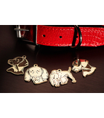 Фотография адресника Веймаранер