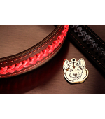 Dog tag for dog breeds Alaskan Malamute