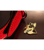 Адресник для собаки породы Бультерьер