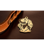 Адресник для собаки Ирландский сеттер