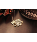 Адресник для сеттера