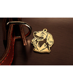 Ирландский сеттер