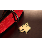 Адресник для Бультерьера