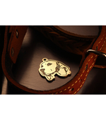 Адресник для Бигля