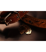 Адресник для собаки породы Бигль