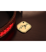 Адресник для активных собак