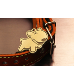 Адресник для Бультерьера