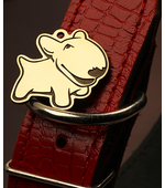 Адресник для собаки