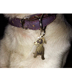 Адресник с изображением собаки Джек Рассел терьер