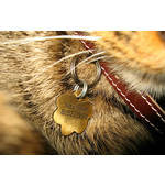 Адресник с гравировкой для кота