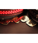 Tag for dog Beagle var.4