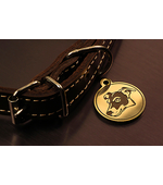 Адресник для Джек Рассела