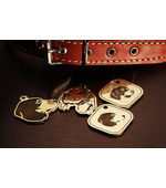 Tag for dog Beagle