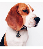 Медальон для собак, Бигль