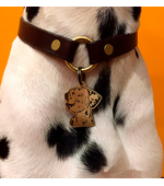 Tag for dog Dalmatian