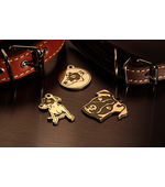 Адресники для собак Джек Рассел терьер