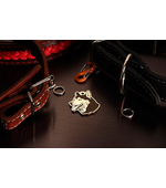 Dog tag for dog breeds Alaskan Malamute