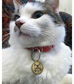 Адресник для кошки