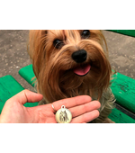 Адресник Йоркширский терьер