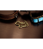 жетон для собаки