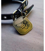 Strong tag for Collie