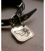 Strong tag for Collie