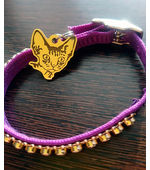 Адресник Девон рекс