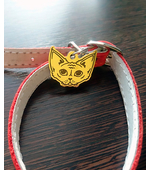 Медальон для котов и кошек с изображением породы Девон рекс