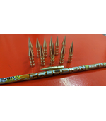 Pandarus precision hunter