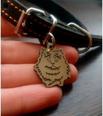 Персидская кошка