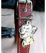Tag with the image of a Dalmatian