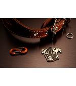 Адресник для Джек Рассела