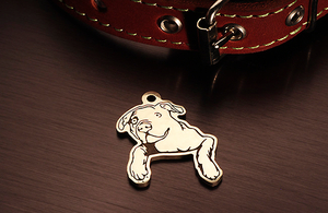 Tag for dog American bulldog