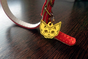 Медальон для котов Девон рекс