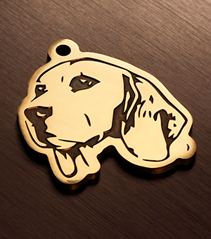 Tag for dog Beagle