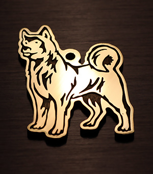Медальон для собаки Американская акита