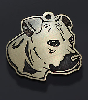 Tag for dog breeds American pit bull terrier