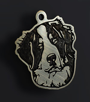 Tag for dog breeds Bernese mountain dog