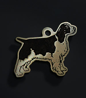 Tag for dog English springer spaniel