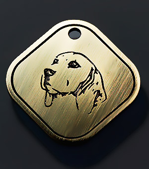 Tag for dog Beagle var.5