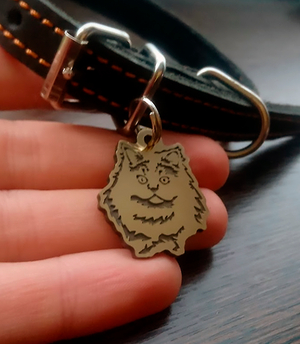 Cat tag Persian