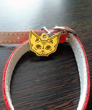 Медальон для котов и кошек с изображением породы Девон рекс