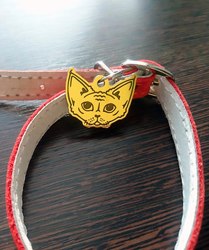 Cat tag Devon Rex