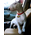 Фото медальона для собак породы Бультерьер